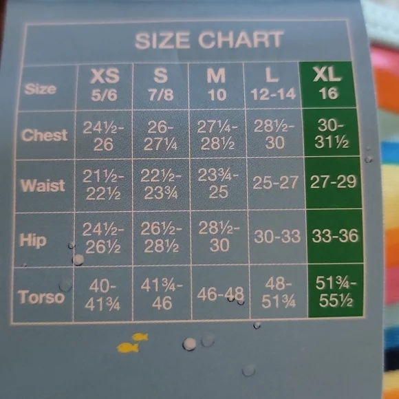 Speedo Youth Girls Size XL (16) One-piece Swimsuit Multi-colored - Picture 6 of 7